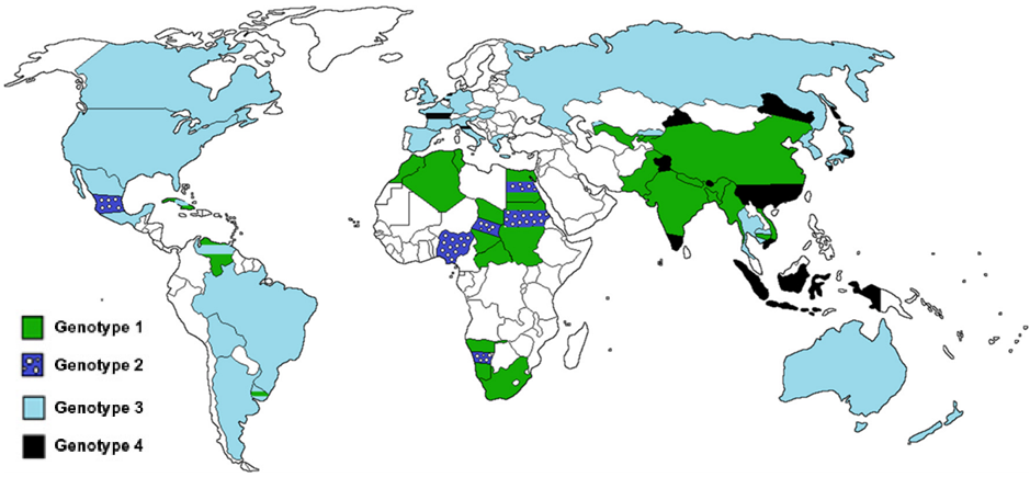 Distribution geographique des génotypes de l'hépatite E