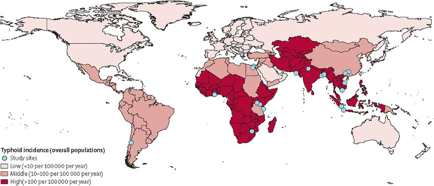 Distribution géographique de la fièvre entérique